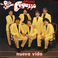 Grupo Pegasso