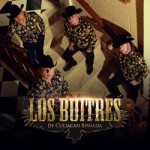 Los Buitres