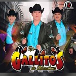 Los Gallitos de Chihuahua